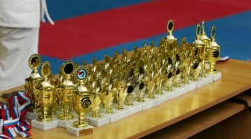 Спортсмены из Владивостока заняли призовые места в турнире по джиу-джитсу в Уссурийске
