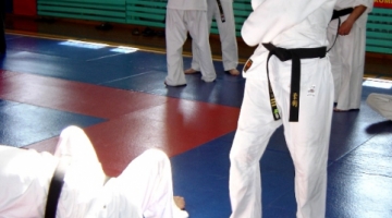 Всероссийский судейский семинар по джиу-джитсу 4-6 мая 2007